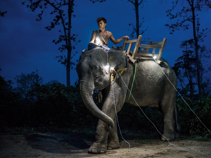 A worker at a logging camp in Myanmar’s Bago region