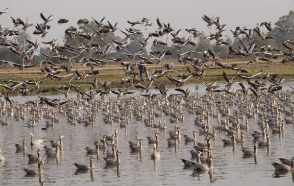 10 More Wetlands Are Declared as Ramsar Sites in India