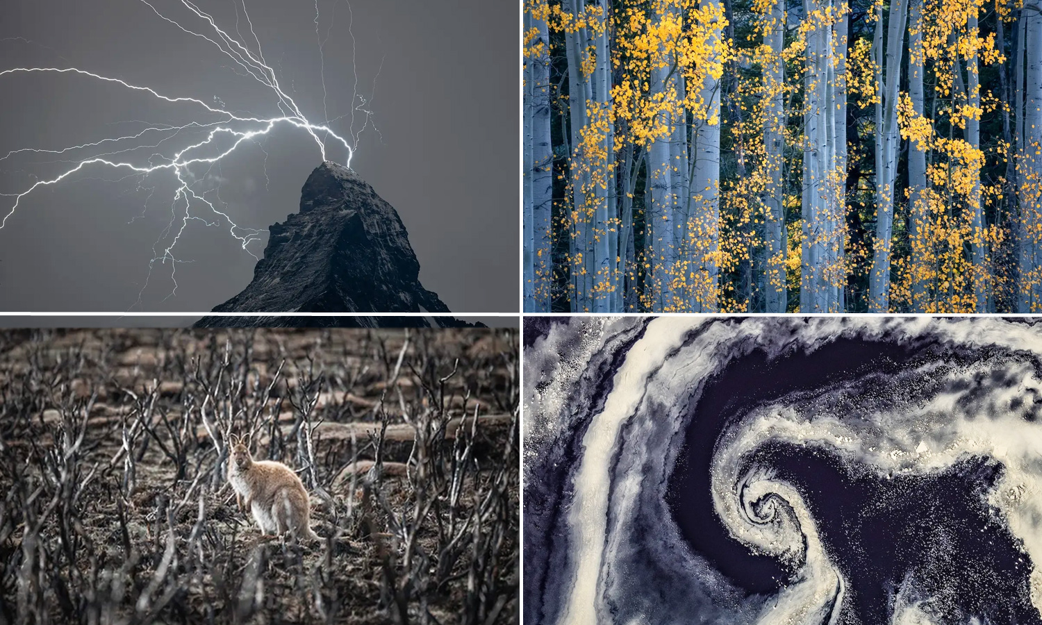 Natural-Landscape-Photography-Awards-2021_Collage