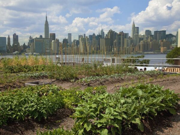 5 Most Unique Urban Farms Around The World