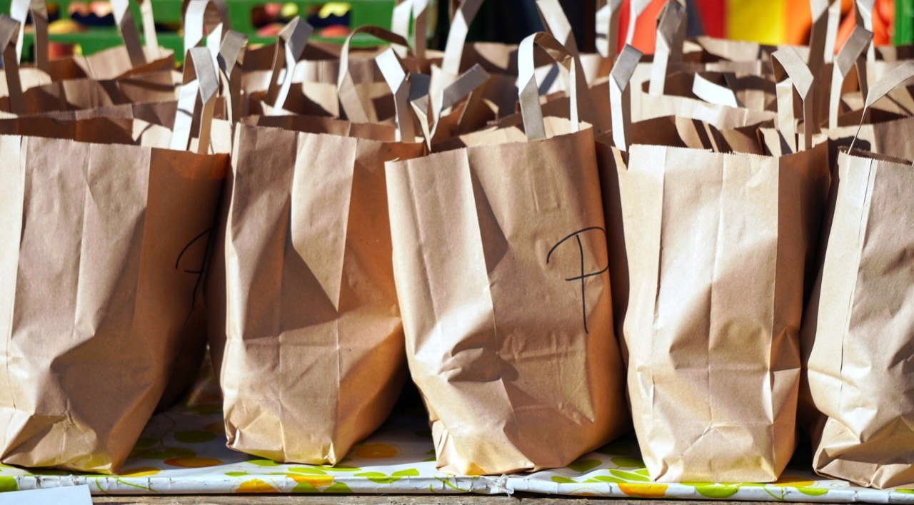 Eco-friendly and reusable bag alternatives