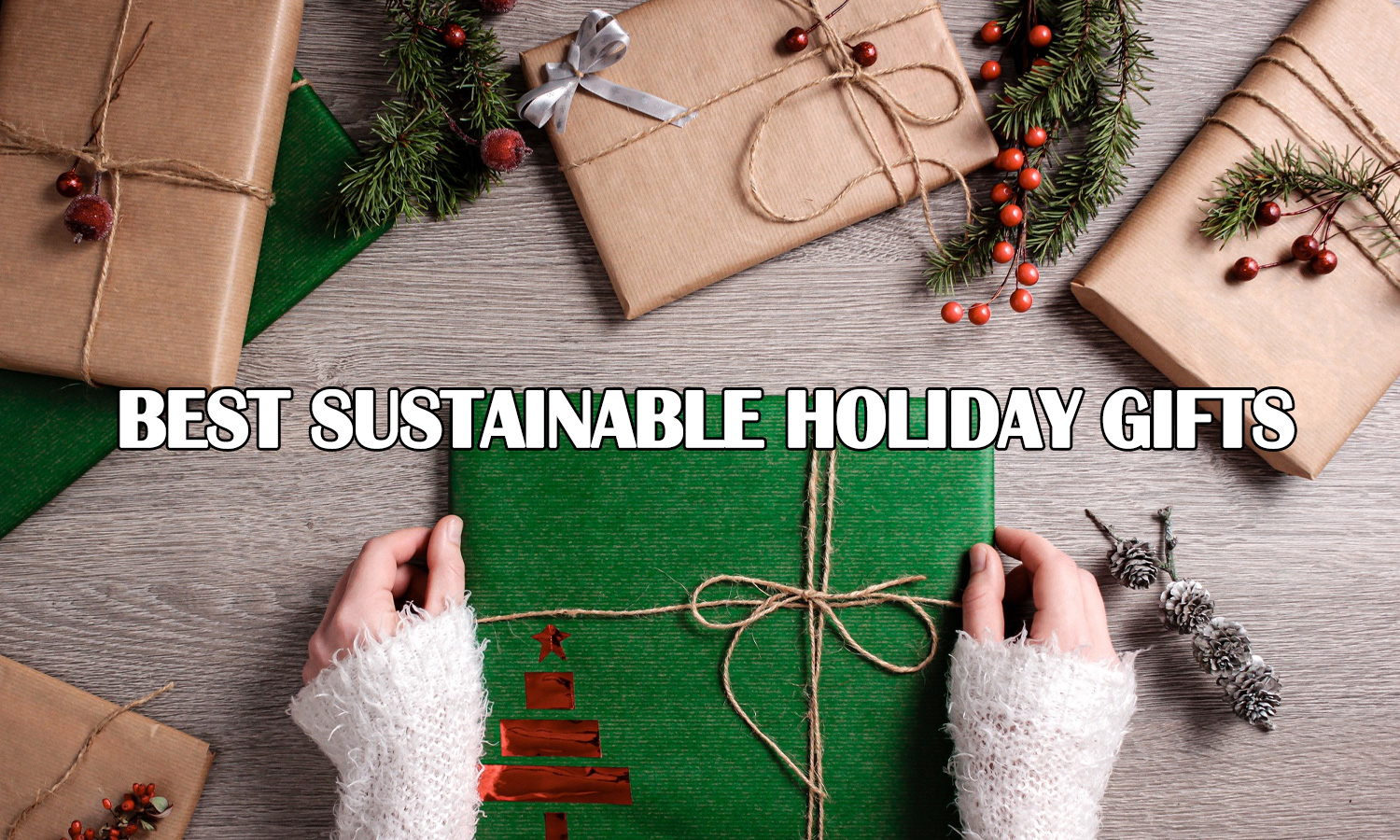 Best Sustainable Holiday Gifts for an Eco-Friendly Christmas