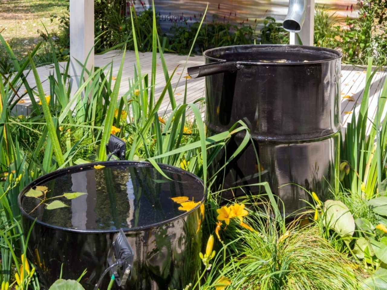 How to Conserve Water at Home - Harvest Rainwater