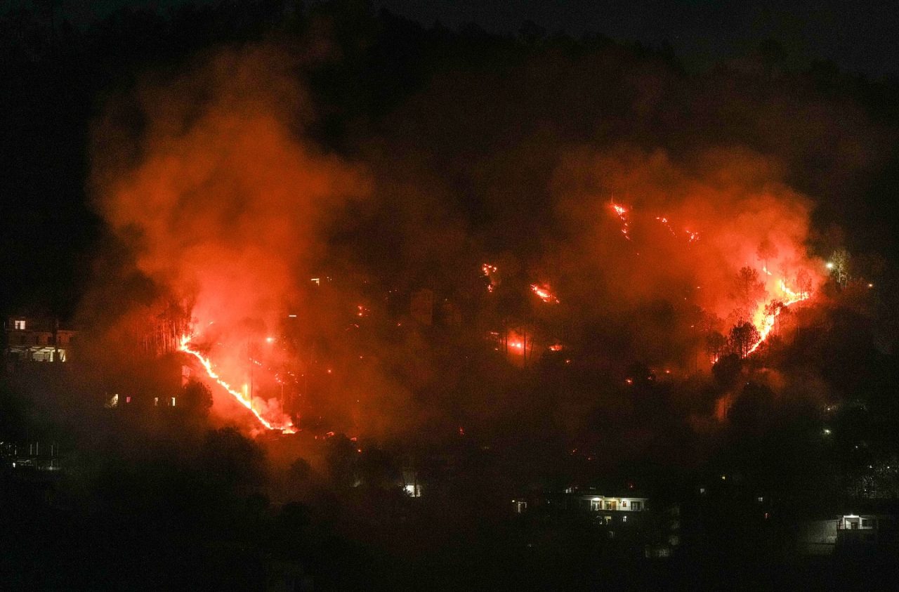 Forest fires in Himachal 2024