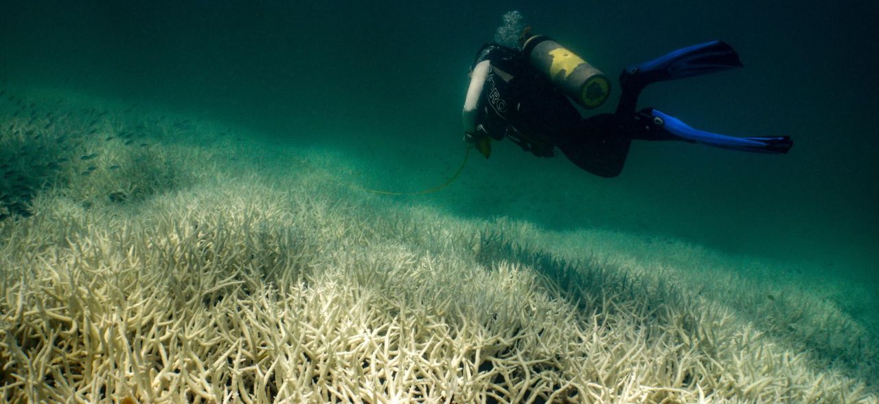 Great Barrier Reef Existential Threat