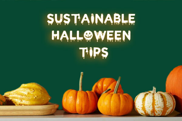 Sustainable Hallloween Tips