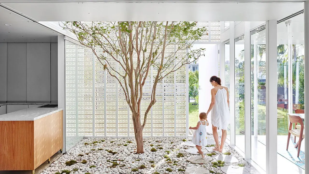 Biophilic design in modern homes